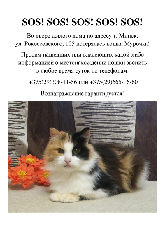 Объявление.doc